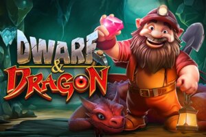 game-Dwarf & Dragon