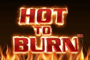 game-Hot to Burn