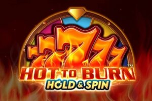 game-Hot to Burn Hold & Spin