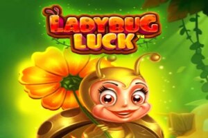 game-Ladybug Luck