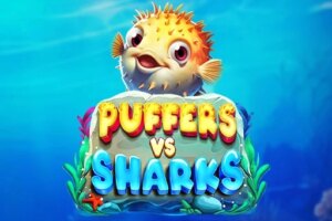 game-Puffers Vs Sharks