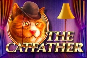 game-The Catfather