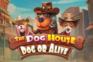 game-The Dog House - Dog or Alive