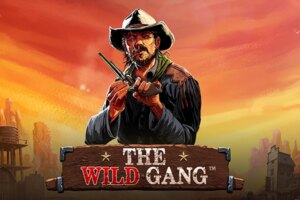 game-The Wild Gang