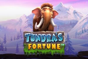 game-Tundra's Fortune
